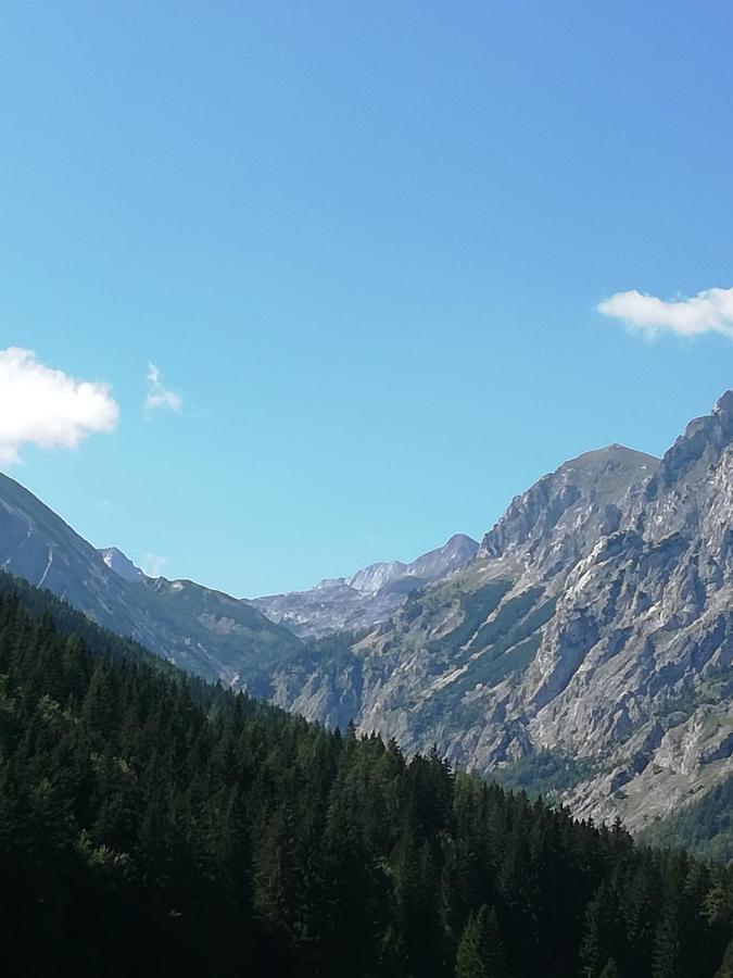 Fruehstueckspension Seeberghof Seewiesen Bagian luar foto